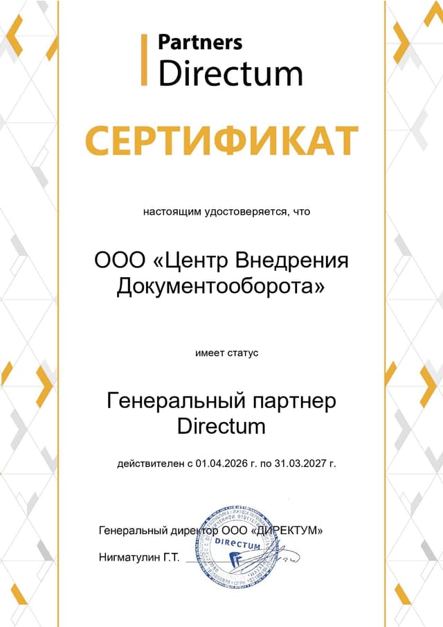 Генеральный партнер Directum